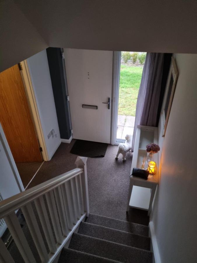 Modern 3 Bedroom Semi Detached Home Limavady Dış mekan fotoğraf